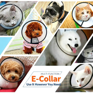 Pet Elizabethan Collar