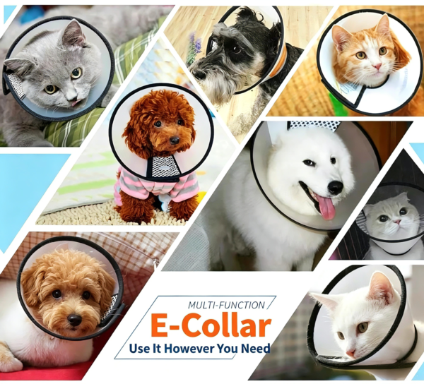 Pet Elizabethan Collar